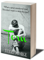 TORN by Terri George 3D cover