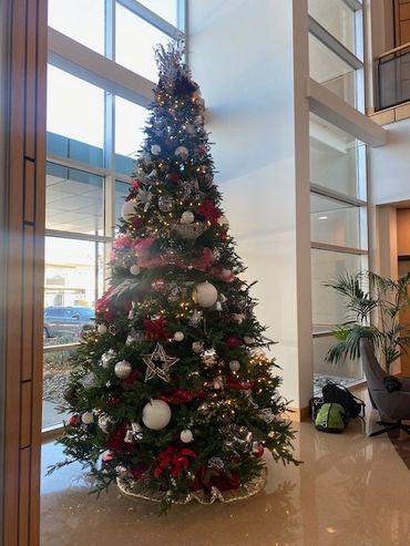Tall Christmas tree decorated with ornaments and lights in a modern building lobby.