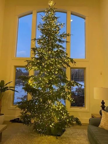Tall Christmas tree decorated with warm white lights in a cozy living room.