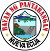 LGU Pantabangan Official Website