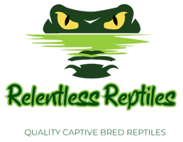 Relentless Reptiles