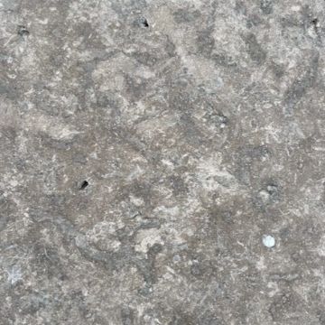 Close-up of a textured gray stone surface with small holes and white spots.