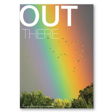 A vibrant rainbow arcs over green trees with birds flying across the sky.