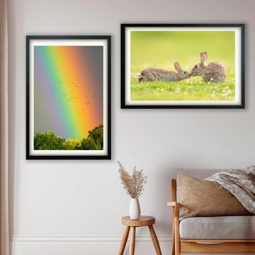 Two framed nature photos: a vibrant rainbow with birds and two rabbits on grass.