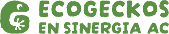 Ecogeckos en Sinergia 