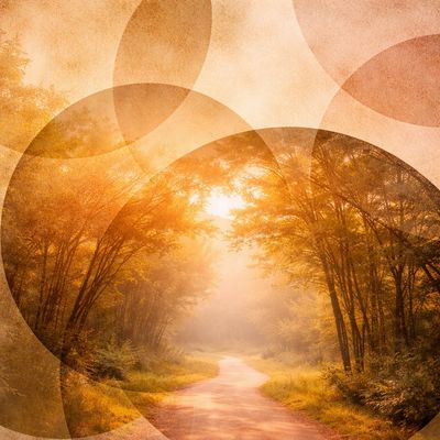 Sunlit forest path with artistic circular overlays creating a warm, dreamy effect.