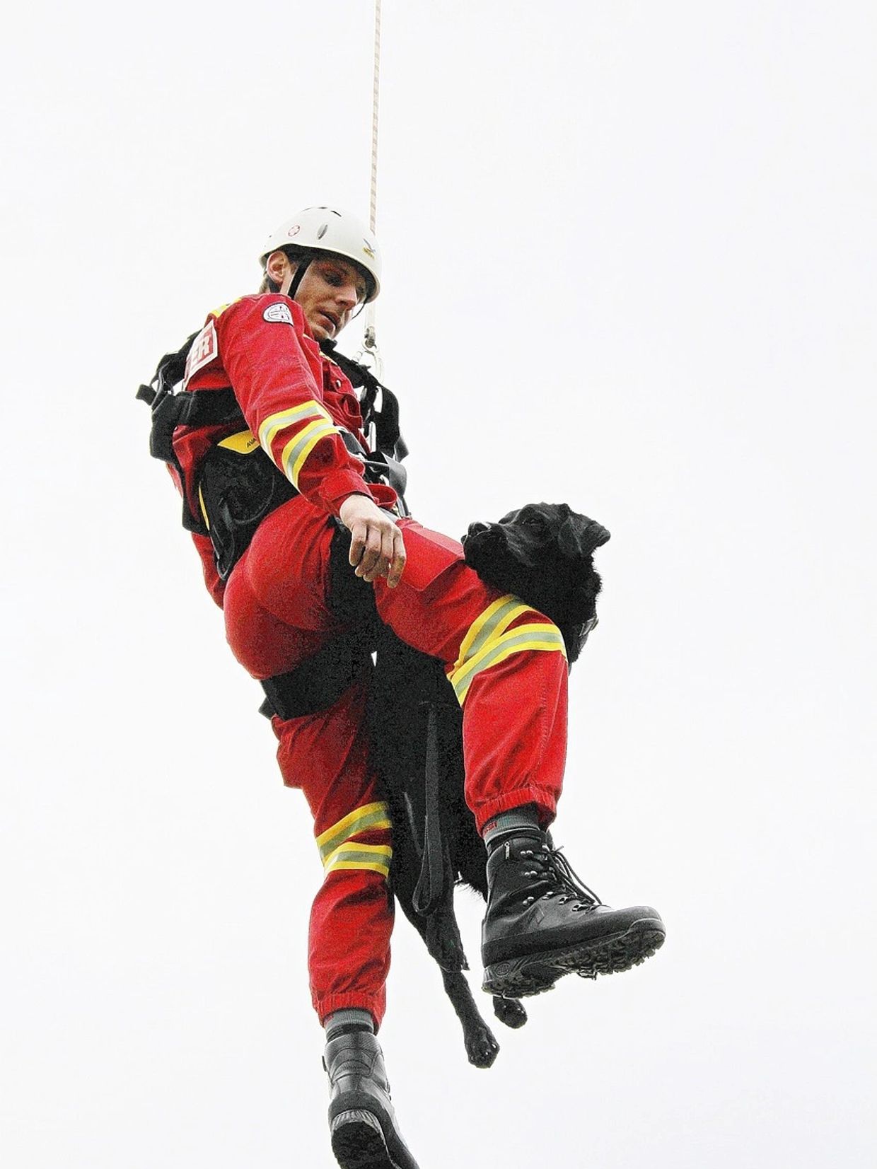 Rescue worker repelling with a dog 