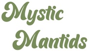 Mystic Mantids