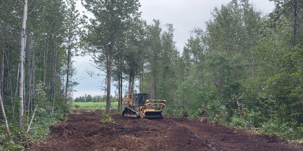 Forestery mulcher mulching trail near Matheson ON