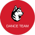 Northeastern University Dance Team