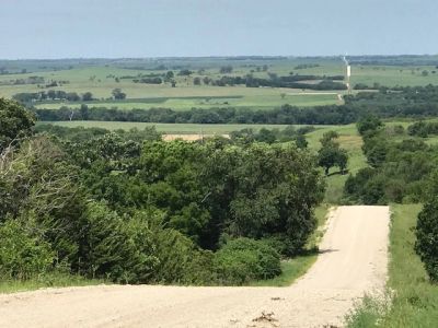 A dirt road winding through green trees and fields.