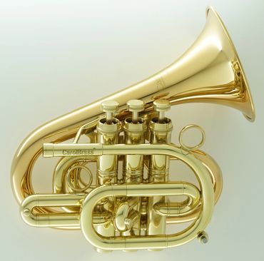 best selling pro professional student trumpet intonation price quality Aurturo sandoval bill collett