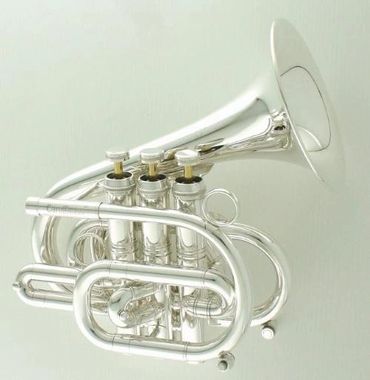 best selling pro professional student trumpet intonation price quality Aurturo sandoval bill collett