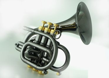 best selling pro professional student trumpet intonation price quality Aurturo sandoval bill collett