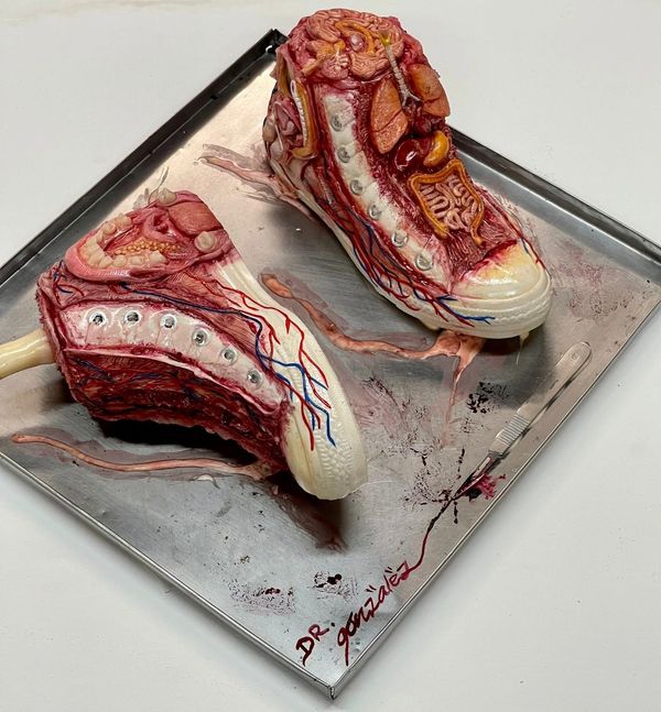 Los zapatos viejos de Netter (2020). 6x16 Plaster, cold porcelain and resin