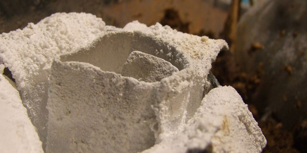 Lead or Flake White forming on a curled sheet of lead using the Dutch Stack method.