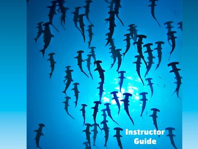Aware Shark Conservation Guids