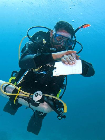 A Diver In Water