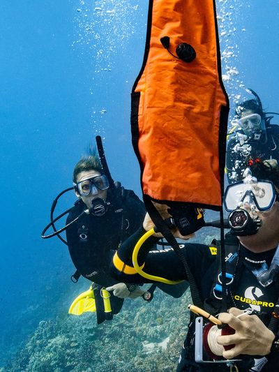 A Group Of Divers Image