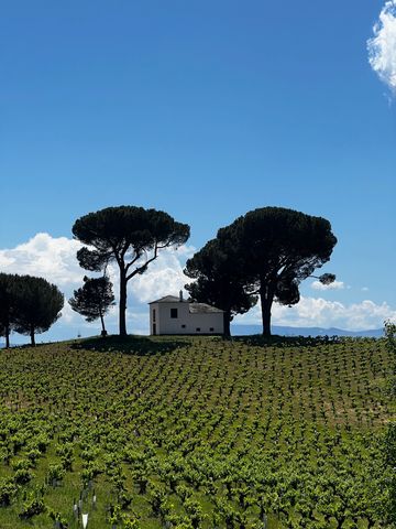 Camino de Santiago, Camino Frances