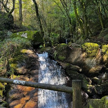 Camino de Santiago, trail in the forest with waterfall. 