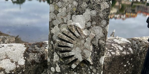 Stone scallop shell on the Camino de Santiago. Portuguese Way. 