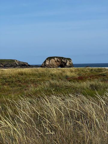 Camino del Norte, field of grasses, with ocean in the background. 