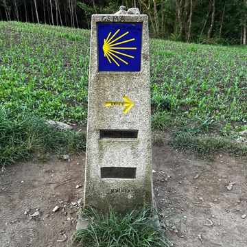 Trail marker on the Camino de Santiago. 