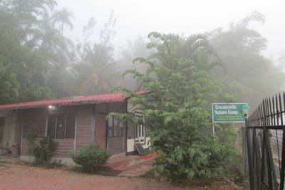 Greenwoods Nature Camp in Mudumalai