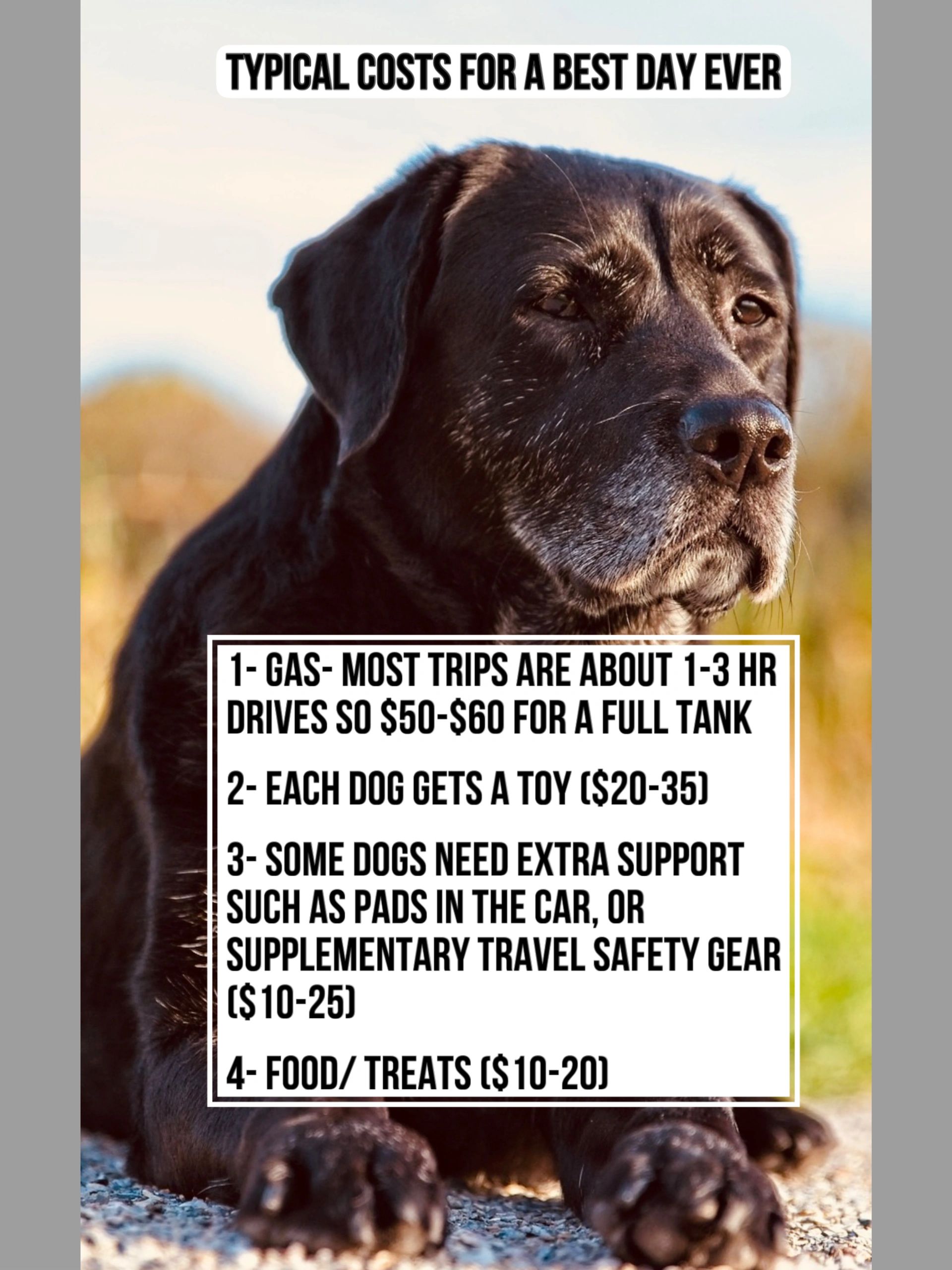 *for itemized lists please contact me. 