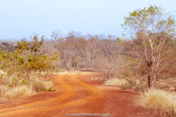 Mole National Park
