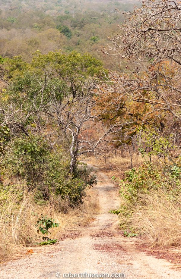 Mole National Park