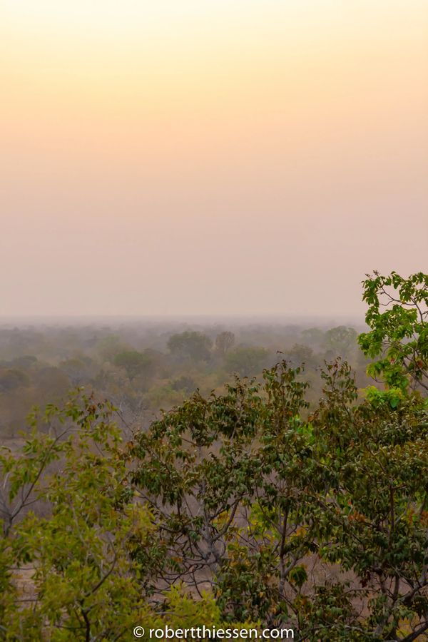 Harmattan in Mole National Park