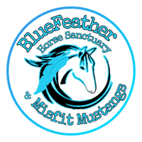 BlueFeather Horse Sanctuary
and
Misfit Mustangs