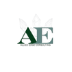 ALLIED EDGE 
Consulting