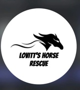 Lovitt’s Horse Rescue