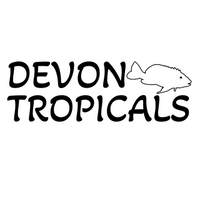 Devon Tropicals