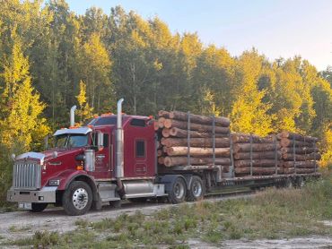 Camion transportant des troncs d'arbres dans une zone boisée.