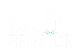 Palm Irrigation