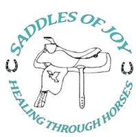 Saddles of Joy
