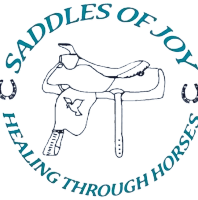 Saddles of Joy