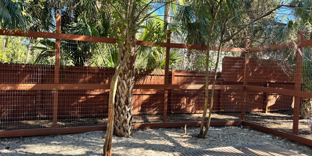 Predator proof goat enclosure fencing for our nigerian dwarf and mini nubian goats in Naples, FL