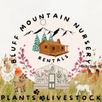Bluff Mountain Nursery 