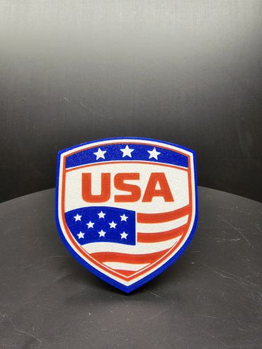 Shield-shaped patch with USA and American flag colors.