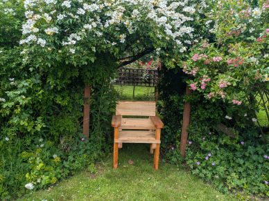 Wooden bench under a flowering garden arch with greenery.