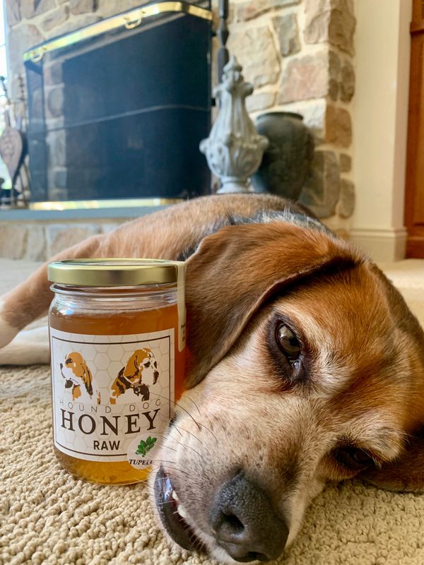 is honey good for dogs with seizures