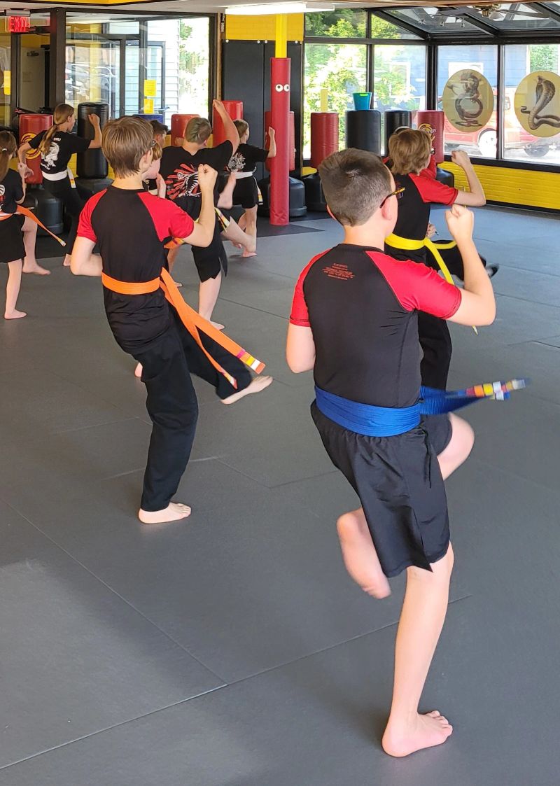 Kids Kung Fu class practicing kicks