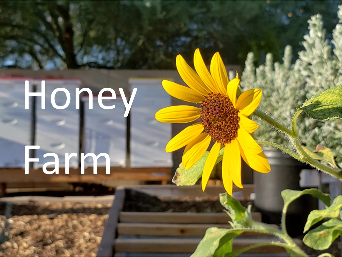 Honey Farm