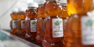 Raw Arizona Honey for Flagstaff from Honey Hive Farms