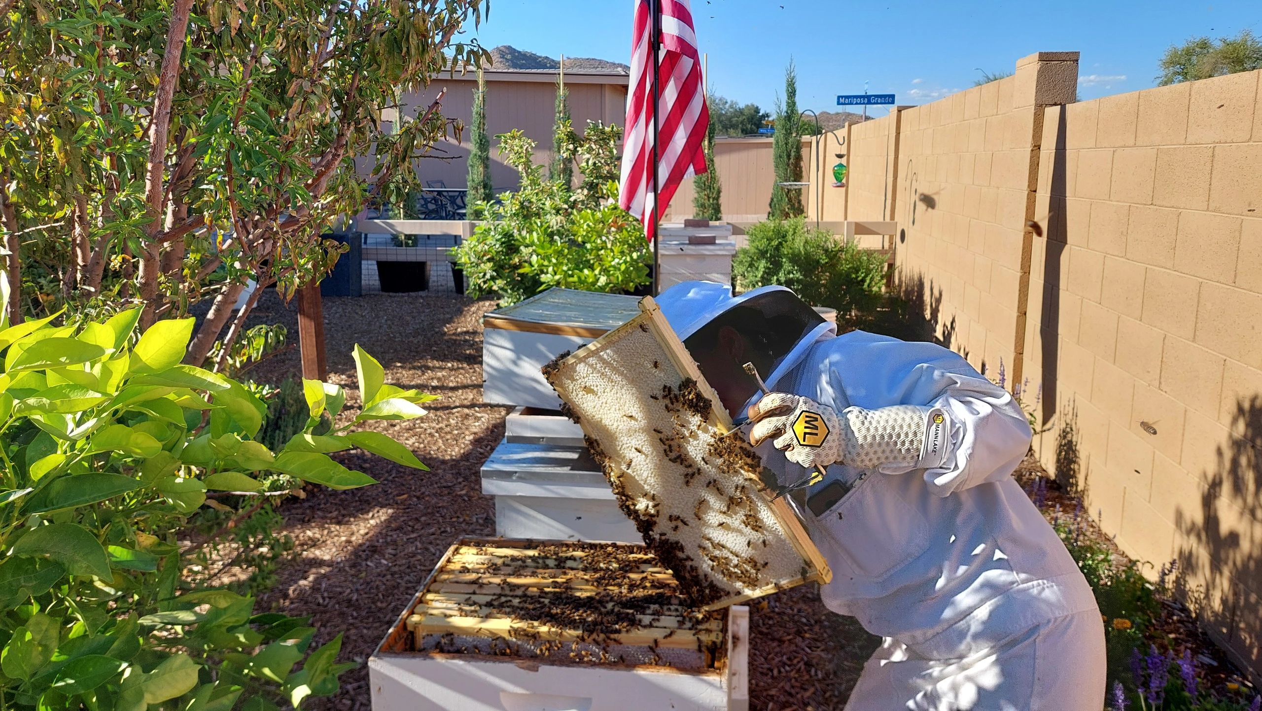 Looking for the best local honey in Arizona?